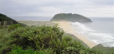 Big Sur 2005