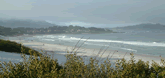 Big Sur 2004
