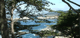 Big Sur 2004