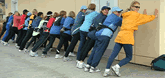 Call WoW power walkers for any move - big or small! 