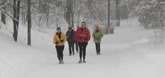 Phyllis' High Park Gym - Hill training